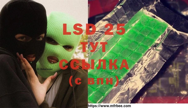 гашик Магас